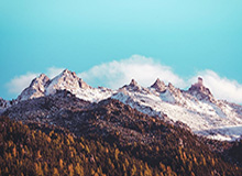 张帅组合夺得WTA阿德莱德站女双冠军