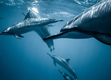 kaiyun：云端之光，照亮生活每一刻